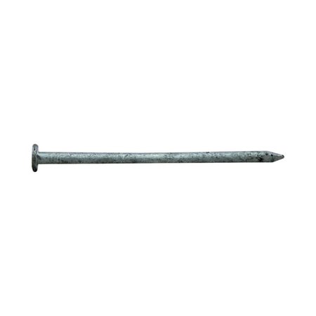 PRO-FIT Common Nail, 3 in L, 10D, Hot Dipped Galvanized Finish 0054178